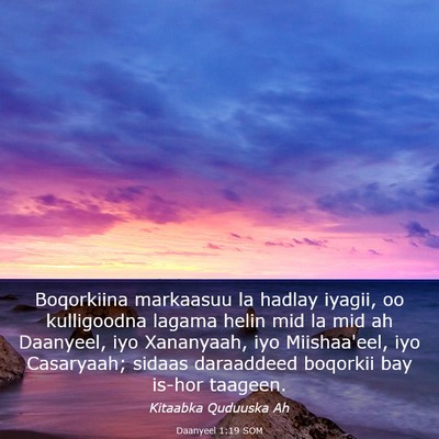 Picture 03 - Daanyeel 1:19 SOM - Boqorkiina markaasuu la hadlay iyagii, oo - Bible Verse Picture