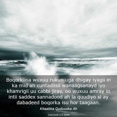Picture 03 - Daanyeel 1:5 SOM - Boqorkiina wuxuu rukun uga dhigay iyagii in ka - Bible Verse Picture