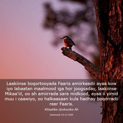 Picture 03 - Daanyeel 10:13 SOM - Laakiinse boqortooyada Faaris amiirkeedii ayaa - Bible Verse Picture