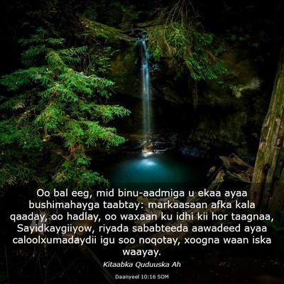 Picture 03 - Daanyeel 10:16 SOM - Oo bal eeg, mid binu-aadmiga u ekaa ayaa - Bible Verse Picture