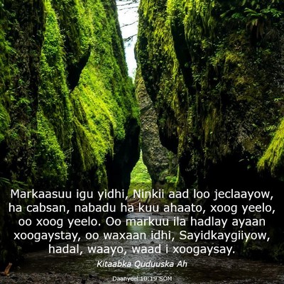 Picture 03 - Daanyeel 10:19 SOM - Markaasuu igu yidhi, Ninkii aad loo jeclaayow, ha - Bible Verse Picture