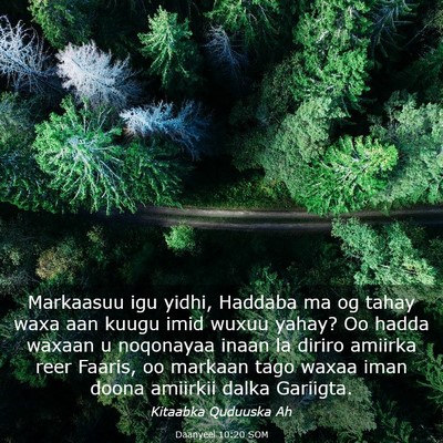 Picture 03 - Daanyeel 10:20 SOM - Markaasuu igu yidhi, Haddaba ma og tahay waxa aan - Bible Verse Picture