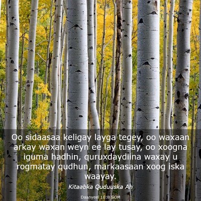 Picture 03 - Daanyeel 10:8 SOM - Oo sidaasaa keligay layga tegey, oo waxaan arkay - Bible Verse Picture