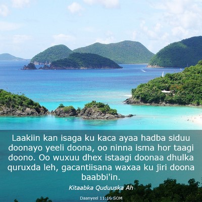 Picture 03 - Daanyeel 11:16 SOM - Laakiin kan isaga ku kaca ayaa hadba siduu - Bible Verse Picture