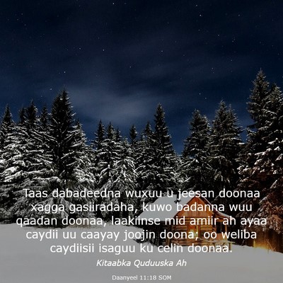 Picture 03 - Daanyeel 11:18 SOM - Taas dabadeedna wuxuu u jeesan doonaa xagga - Bible Verse Picture