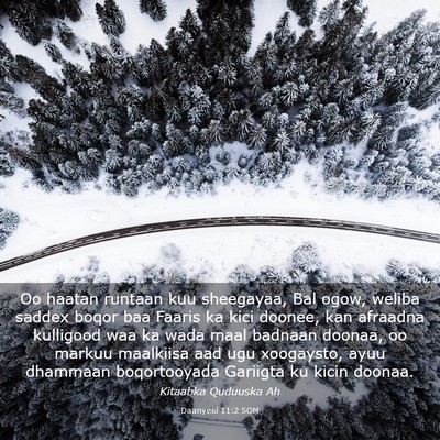 Picture 03 - Daanyeel 11:2 SOM - Oo haatan runtaan kuu sheegayaa, Bal ogow, weliba - Bible Verse Picture