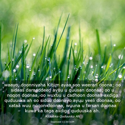 Picture 03 - Daanyeel 11:30 SOM - waayo, doonniyaha Kitiim ayaa soo weerari doona; - Bible Verse Picture