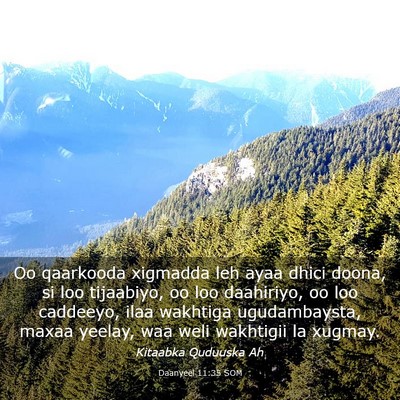 Picture 03 - Daanyeel 11:35 SOM - Oo qaarkooda xigmadda leh ayaa dhici doona, si - Bible Verse Picture