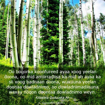 Picture 03 - Daanyeel 11:5 SOM - Oo boqorka koonfureed ayaa xoog yeelan doona, oo - Bible Verse Picture