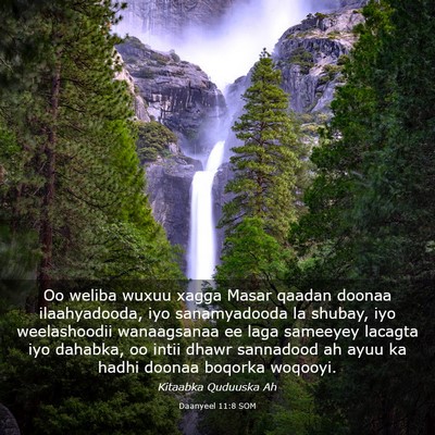 Picture 03 - Daanyeel 11:8 SOM - Oo weliba wuxuu xagga Masar qaadan doonaa - Bible Verse Picture