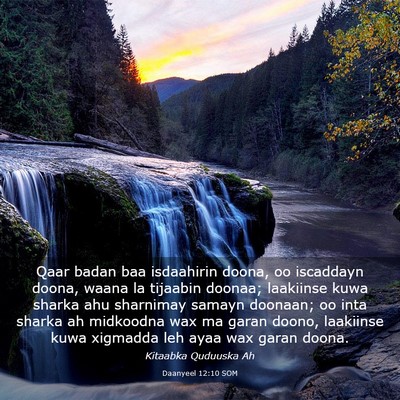 Picture 03 - Daanyeel 12:10 SOM - Qaar badan baa isdaahirin doona, oo iscaddayn - Bible Verse Picture