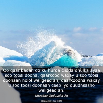 Picture 03 - Daanyeel 12:2 SOM - Oo qaar badan oo ku hurda ciidda dhulka ayaa soo - Bible Verse Picture