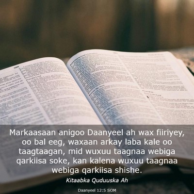 Picture 03 - Daanyeel 12:5 SOM - Markaasaan anigoo Daanyeel ah wax fiiriyey, oo - Bible Verse Picture