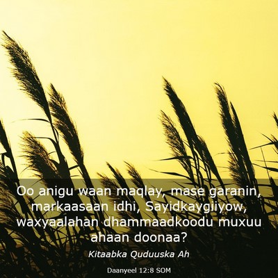 Picture 03 - Daanyeel 12:8 SOM - Oo anigu waan maqlay, mase garanin, markaasaan - Bible Verse Picture