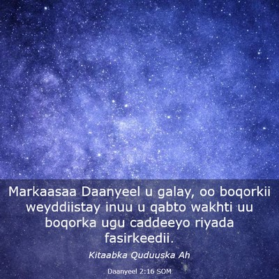 Picture 03 - Daanyeel 2:16 SOM - Markaasaa Daanyeel u galay, oo boqorkii - Bible Verse Picture