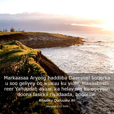 Picture 03 - Daanyeel 2:25 SOM - Markaasaa Aryoog haddiiba Daanyeel boqorka u soo - Bible Verse Picture