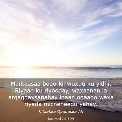 Picture 03 - Daanyeel 2:3 SOM - Markaasaa boqorkii wuxuu ku yidhi, Riyaan ku - Bible Verse Picture