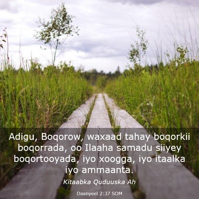 Picture 03 - Daanyeel 2:37 SOM - Adigu, Boqorow, waxaad tahay boqorkii boqorrada, - Bible Verse Picture