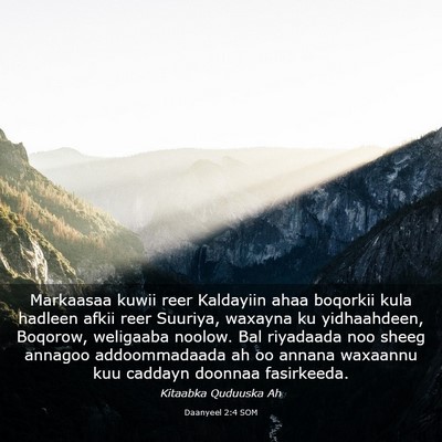 Picture 03 - Daanyeel 2:4 SOM - Markaasaa kuwii reer Kaldayiin ahaa boqorkii kula - Bible Verse Picture
