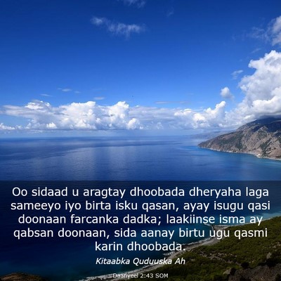 Picture 03 - Daanyeel 2:43 SOM - Oo sidaad u aragtay dhoobada dheryaha laga - Bible Verse Picture