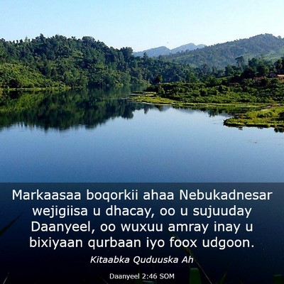 Picture 03 - Daanyeel 2:46 SOM - Markaasaa boqorkii ahaa Nebukadnesar wejigiisa u - Bible Verse Picture