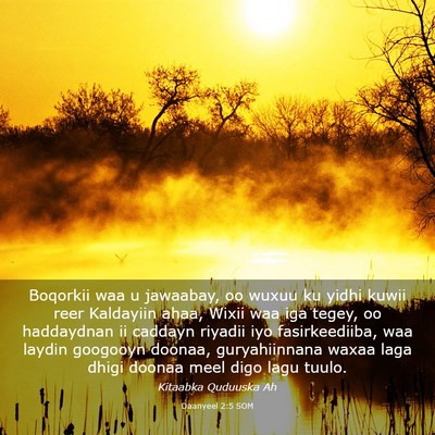 Picture 03 - Daanyeel 2:5 SOM - Boqorkii waa u jawaabay, oo wuxuu ku yidhi kuwii - Bible Verse Picture