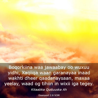 Picture 03 - Daanyeel 2:8 SOM - Boqorkiina waa jawaabay oo wuxuu yidhi, Xaqiiqa - Bible Verse Picture