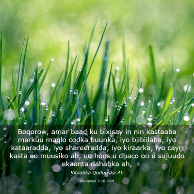 Picture 03 - Daanyeel 3:10 SOM - Boqorow, amar baad ku bixisay in nin kastaaba - Bible Verse Picture