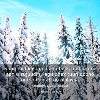 Picture 03 - Daanyeel 3:11 SOM - iyo in mid kasta oo aan hoos u dhicin oo aan u - Bible Verse Picture