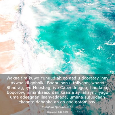 Picture 03 - Daanyeel 3:12 SOM - Waxaa jira kuwo Yuhuud ah oo aad u dooratay inay - Bible Verse Picture