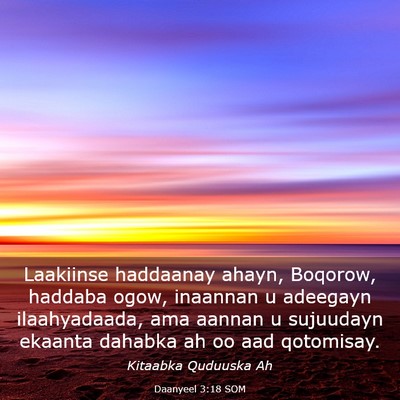 Picture 03 - Daanyeel 3:18 SOM - Laakiinse haddaanay ahayn, Boqorow, haddaba ogow, - Bible Verse Picture
