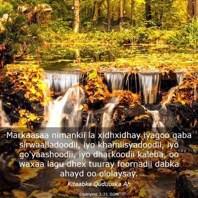 Picture 03 - Daanyeel 3:21 SOM - Markaasaa nimankii la xidhxidhay iyagoo qaba - Bible Verse Picture