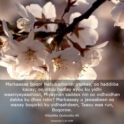 Picture 03 - Daanyeel 3:24 SOM - Markaasaa Boqor Nebukadnesar yaabay, oo haddiiba - Bible Verse Picture