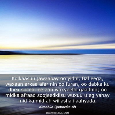 Picture 03 - Daanyeel 3:25 SOM - Kolkaasuu jawaabay oo yidhi, Bal eega, waxaan - Bible Verse Picture