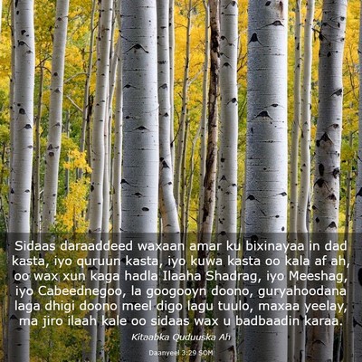 Picture 03 - Daanyeel 3:29 SOM - Sidaas daraaddeed waxaan amar ku bixinayaa in dad - Bible Verse Picture