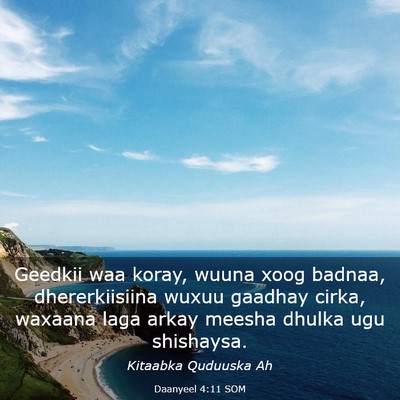 Picture 03 - Daanyeel 4:11 SOM - Geedkii waa koray, wuuna xoog badnaa, - Bible Verse Picture