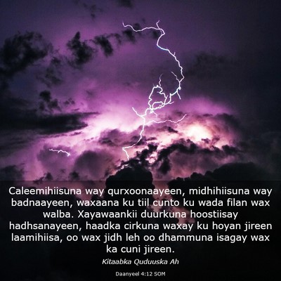 Picture 03 - Daanyeel 4:12 SOM - Caleemihiisuna way qurxoonaayeen, midhihiisuna - Bible Verse Picture