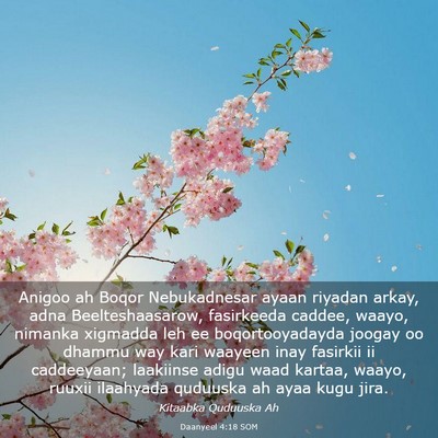 Picture 03 - Daanyeel 4:18 SOM - Anigoo ah Boqor Nebukadnesar ayaan riyadan arkay, - Bible Verse Picture