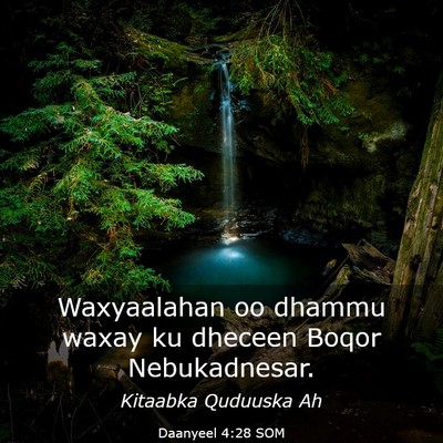 Picture 03 - Daanyeel 4:28 SOM - Waxyaalahan oo dhammu waxay ku dheceen Boqor - Bible Verse Picture