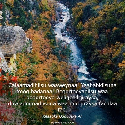 Picture 03 - Daanyeel 4:3 SOM - Calaamadihiisu waaweynaa! Yaababkiisuna xoog - Bible Verse Picture