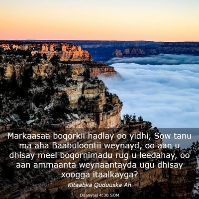 Picture 03 - Daanyeel 4:30 SOM - Markaasaa boqorkii hadlay oo yidhi, Sow tanu ma - Bible Verse Picture