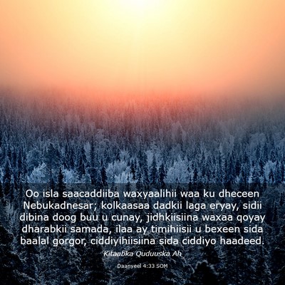 Picture 03 - Daanyeel 4:33 SOM - Oo isla saacaddiiba waxyaalihii waa ku dheceen - Bible Verse Picture