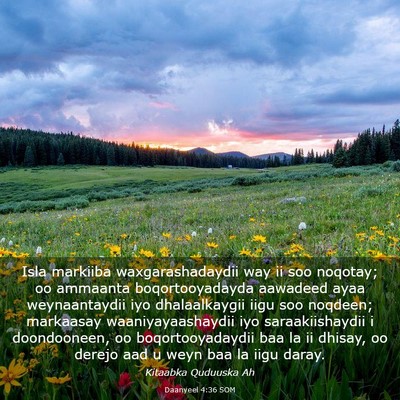Picture 03 - Daanyeel 4:36 SOM - Isla markiiba waxgarashadaydii way ii soo - Bible Verse Picture