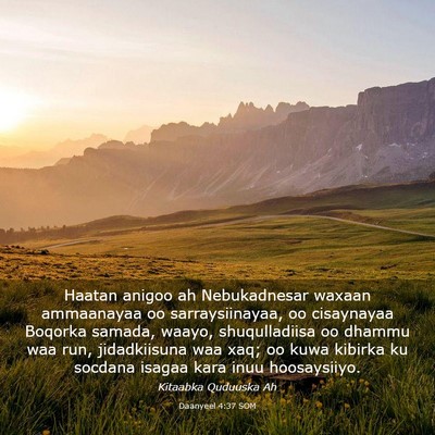 Picture 03 - Daanyeel 4:37 SOM - Haatan anigoo ah Nebukadnesar waxaan ammaanayaa - Bible Verse Picture