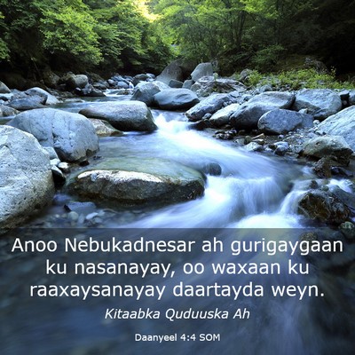 Picture 03 - Daanyeel 4:4 SOM - Anoo Nebukadnesar ah gurigaygaan ku nasanayay, oo - Bible Verse Picture