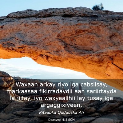 Picture 03 - Daanyeel 4:5 SOM - Waxaan arkay riyo iga cabsiisay, markaasaa - Bible Verse Picture