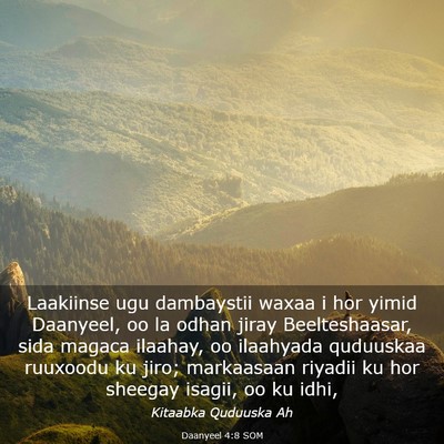 Picture 03 - Daanyeel 4:8 SOM - Laakiinse ugu dambaystii waxaa i hor yimid - Bible Verse Picture