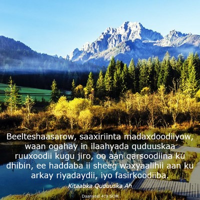 Picture 03 - Daanyeel 4:9 SOM - Beelteshaasarow, saaxiriinta madaxdoodiiyow, waan - Bible Verse Picture