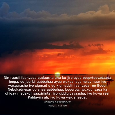 Picture 03 - Daanyeel 5:11 SOM - Nin ruuxii ilaahyada quduuska ahu ku jiro ayaa - Bible Verse Picture