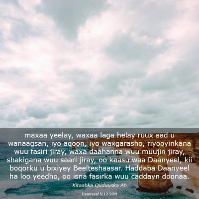 Picture 03 - Daanyeel 5:12 SOM - maxaa yeelay, waxaa laga helay ruux aad u - Bible Verse Picture